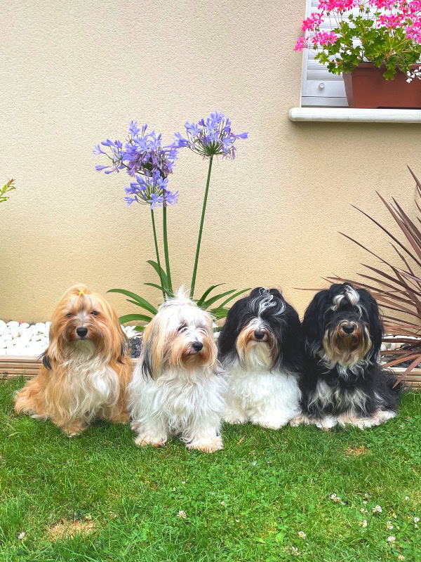 Clarisse Villechien - Professionelle hunde züchterin im Frankreich