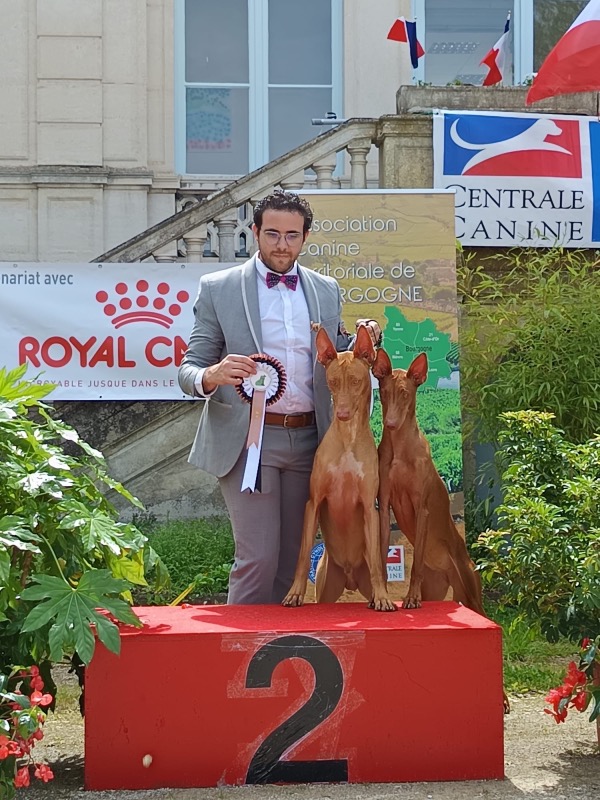 Rudy Dos santos marques - Professioneel honden fokker in het Frankrijk