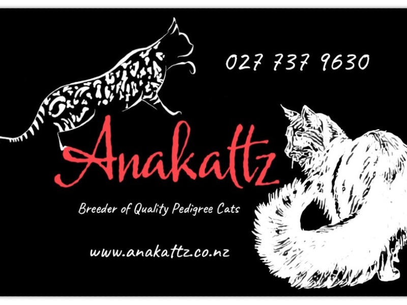 Michelle Ross - Professional cats breeder in the New Zealand