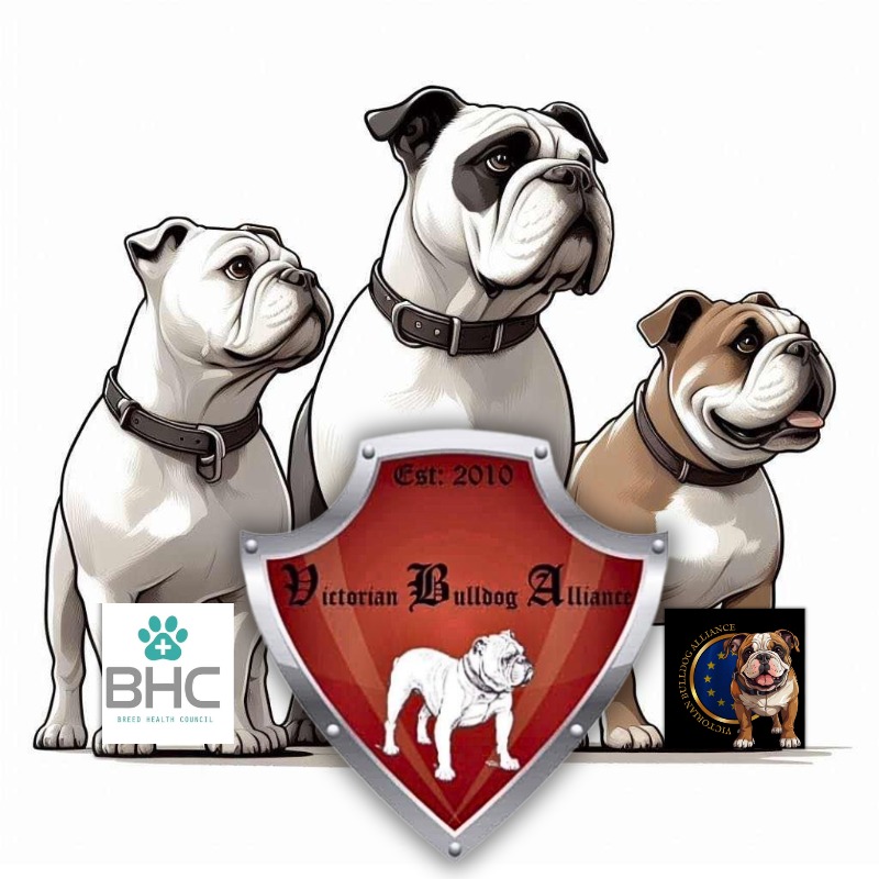 Elodie Di nota - Honden rasclub in het Frankrijk