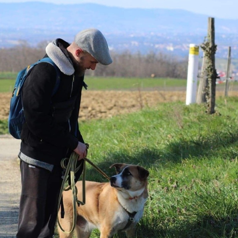 Rémy Lepore - Professioneel honden opvoeder - trainer in het Frankrijk